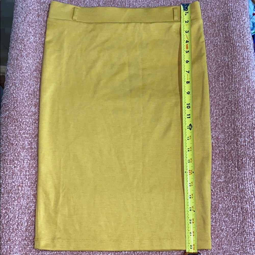 Iris pencil skirt